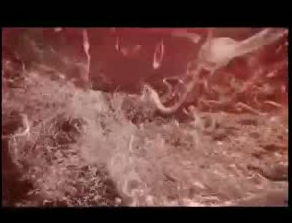 İşte bir bebeğin an be an oluşumu - Resim: 4