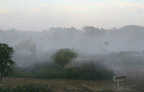 Don nasıl önlenir meteoroloji don alarmı verdi çiçekleri koruma yöntemi - Resim: 0