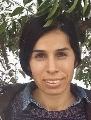 MİT'ten nokta operasyon! PKK/KCK'nin sözde sorumlularından Sebahat Ormanlı etkisiz hale getirildi - Resim: 1