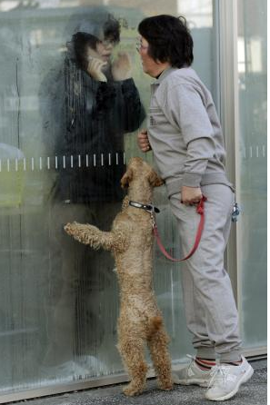 Dünyayı ağlatan kareler - Resim: 3