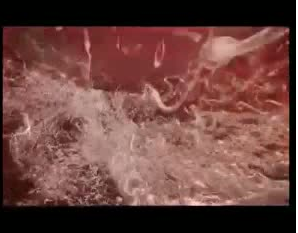 Bebeğin saniye saniye gelişimi - Resim: 3