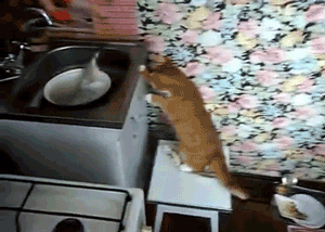 Bu fotoğraflar yerinde duramıyor - Resim: 1