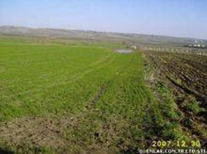 Bu köyler sizi zengin edecek - Resim: 4