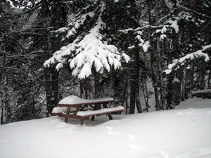 Karda düşüp sakatlanmamak için bunları yapın! - Resim: 1
