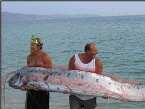 Hayvanlar aleminin en tuhaf anları - Resim: 2