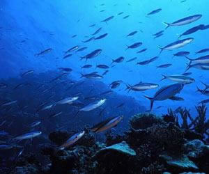 En ilginç sorular - Resim: 3