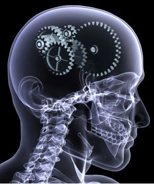 Unutkanlığı yenmenin yolları - Resim: 3