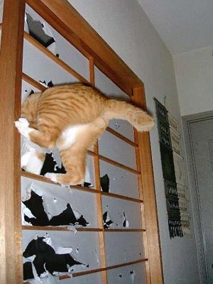 Bu karelerin hepsi çok komik - Resim: 1