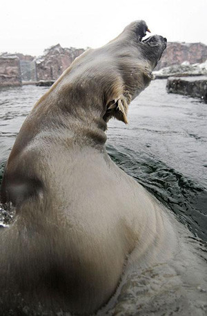 Dünya ajansından kareler - Resim: 3