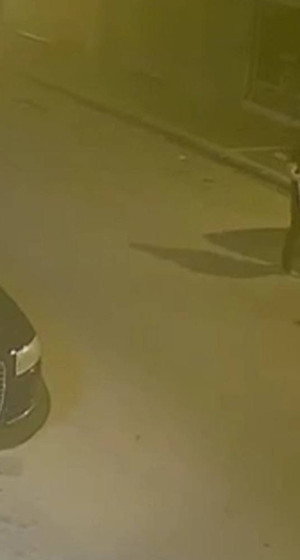Alparslan Kuytul soruşturmasında kaçırılan dijital materyaller bulundu