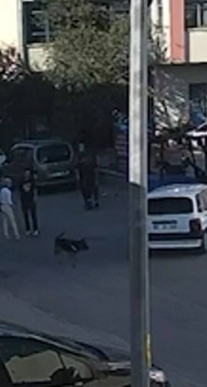 Tasmasız köpekten kaçarken düşen çocuk yaşamını yitirdi