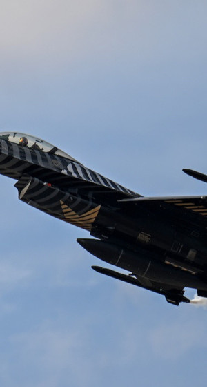 SOLOTÜRK, TEKNOFEST Güneydoğu kapsamında gösteri uçuşu yaptı...
