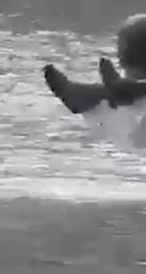 İstanbul'daki sel felaketi! Bir acı haber daha