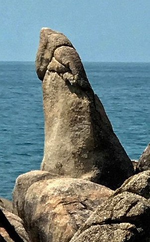 Tüm ülke kin kusuyor kadın çırılçıplak soyundu plaja doğru gitti... - Resim: 4
