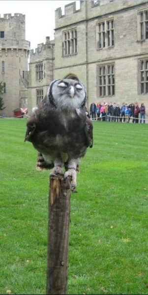 Günün  en beğenilen fotoğrafları - Resim: 3