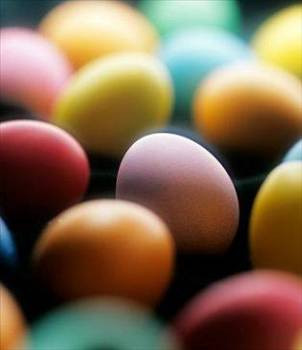 En yeni yumurta geyikleri - Resim: 2