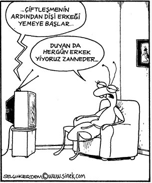 Günün en bomba karikatürleri - Resim: 4