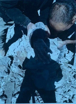 MİT'ten operasyon! PKK'nın Mahmur yöneticisi Galya Bekir öldürüldü - Resim: 1