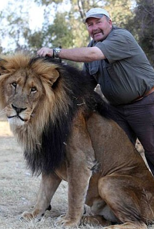 Aslanlara masaj yapan adam - Resim: 3