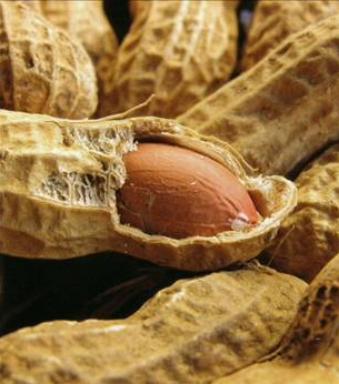 Fıstığın bu faydaları inanılmaz! - Resim: 4