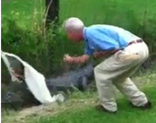 Tam timsaha yem oluyordu ki... - Resim: 2