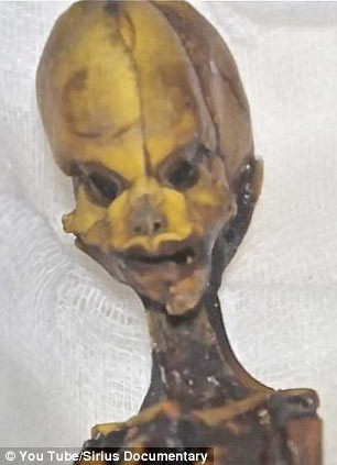 Şili'de şok iskelet - Resim: 4