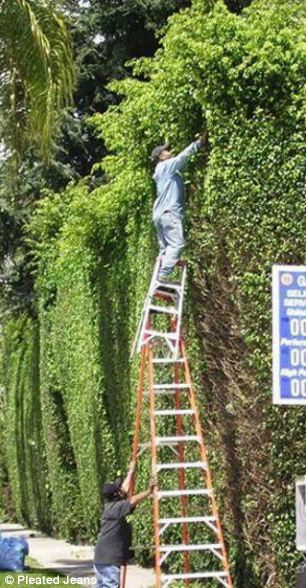 Bu işçilerin hiç korkusu yok! - Resim: 3