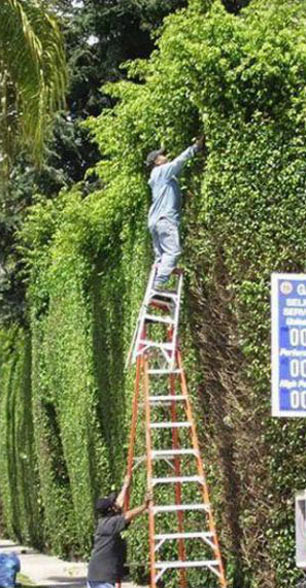 İş güvenliğini hiçe sayan cesur işçiler! - Resim: 4