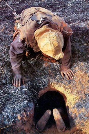 Dev pitonla burun buruna - Resim: 2