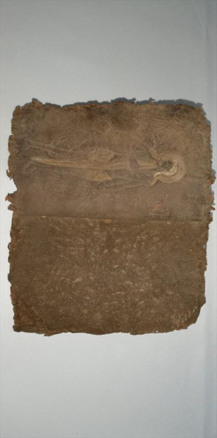 Jandarma alıcı kılığına girip ele geçirdi! Değeri tam 13 milyon dolar - Resim: 1