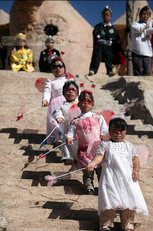 Cücelerin Memleketi - Resim: 3