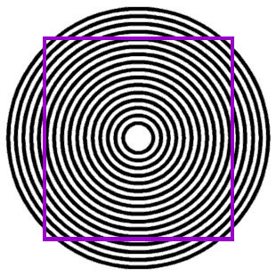 Bu fotoğraflar insanı çıldırtır - Resim: 1