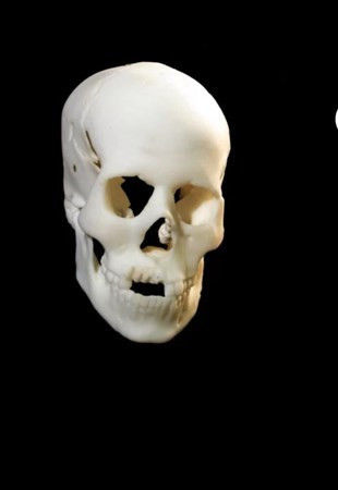 İlk kez ortaya çıktı 9 bin yıl önce kadın böyle görünüyordu - Resim: 2