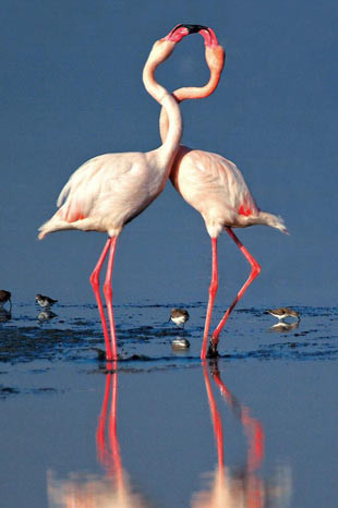 En doğal aşk - Resim: 3