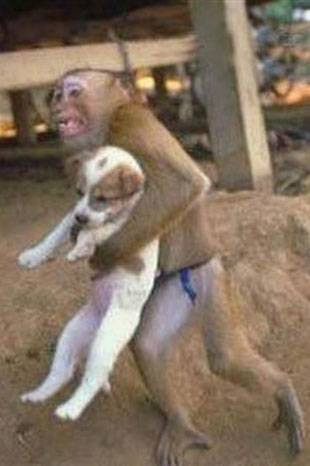 Bu fotoğraflar insanı gülmekten çatlatır! - Resim: 2