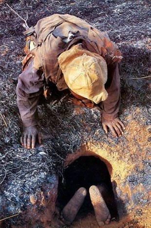 Dev pitonun yuvasına daldı ve... - Resim: 2