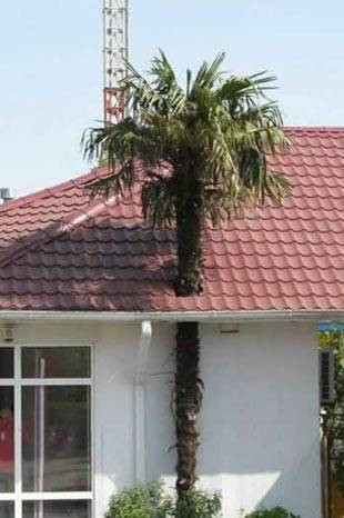 Günün en komik ve ilginç fotoğrafları - Resim: 4