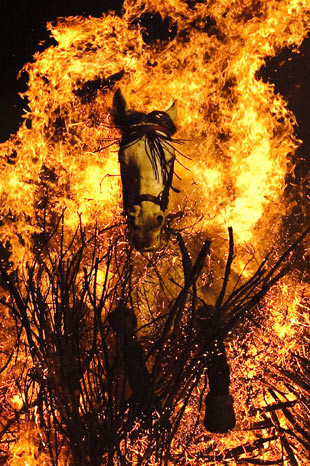 İşte mahşerin atları! - Resim: 1