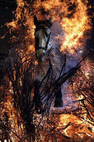 İşte mahşerin atları! - Resim: 2