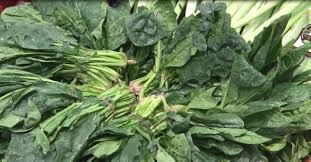 Bilim insanları araştırdı! Ispanağın içindeki hormon yasaklı maddeler listesinde - Resim: 2