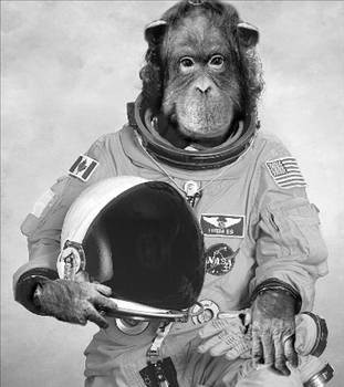 Cahil kalmamak için mutlaka okuyun - Resim: 4