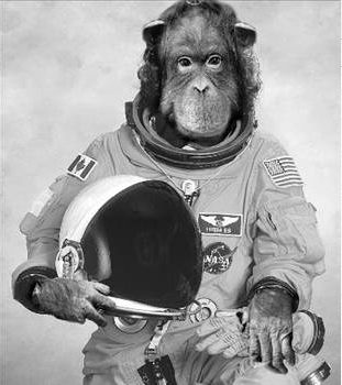 Bakın neleri yanlış biliyormuşuz? - Resim: 4