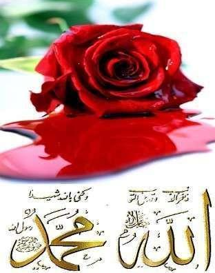 Furkan Sûresi 20. ayetin sırrı  - Resim: 4