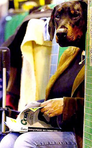 Gülmenin hakkını veren fotoğraflar! - Resim: 1