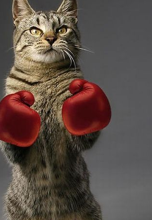 Objektiflere böyle yakalandılar! - Resim: 4