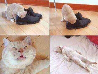 Yurdum insanı kahkahaya boğuyor - Resim: 4