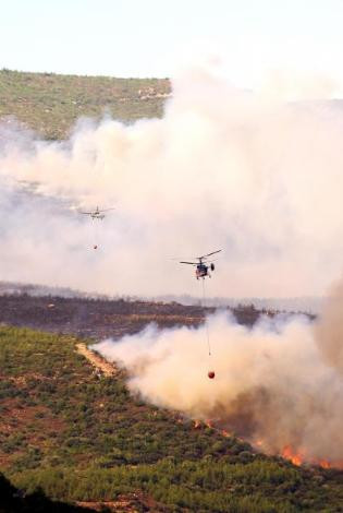 İzmir sabaha kadar cayır cayır yandı - Resim: 1