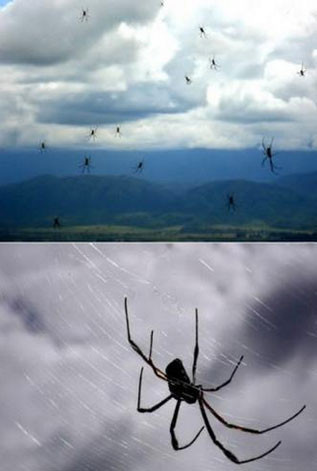 Başlarına bir taş yağmadığı kaldı - Resim: 3