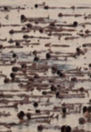 İsrail'i karıştıran görüntüler! - Resim: 3