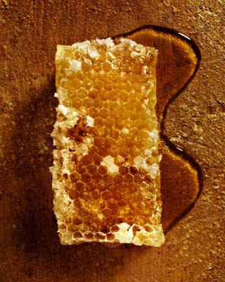 Bunları biliyor musunuz? - Resim: 2